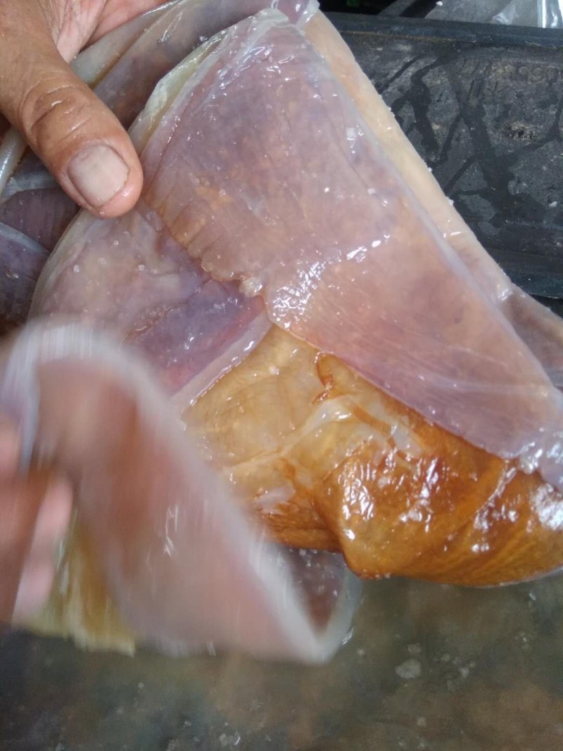 海蜇皮无沙正宗厂家直销‘