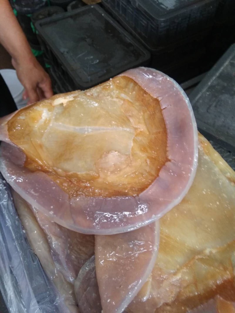 海蜇皮无沙正宗厂家直销‘