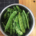 速冻东北特产吉林小油豆角口感新鲜家常味道