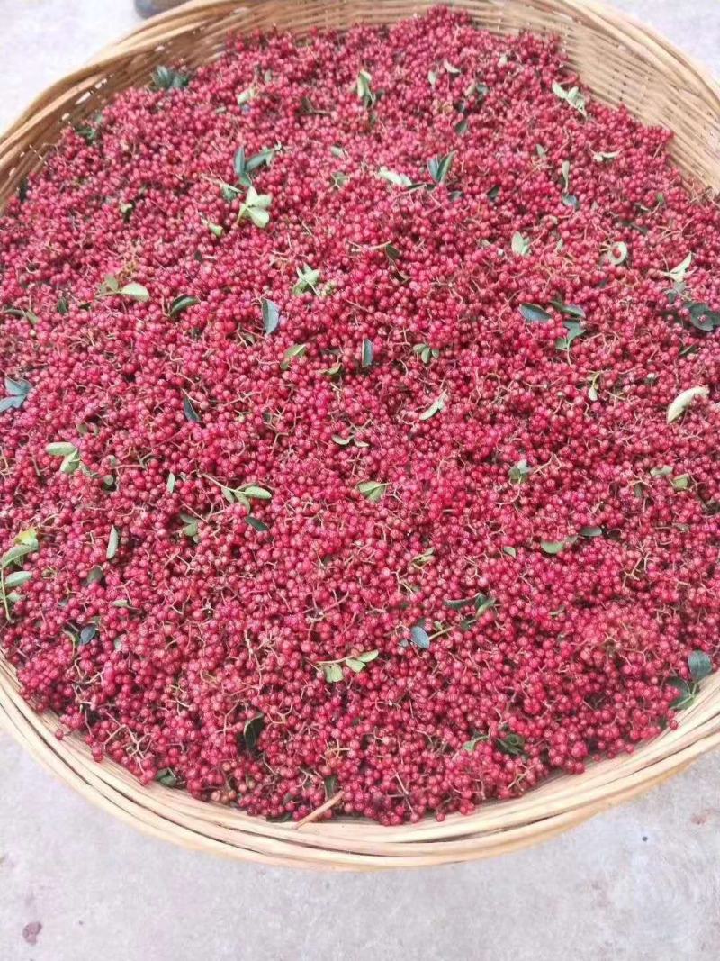 汉源特级干红花椒（贡椒娃娃椒）