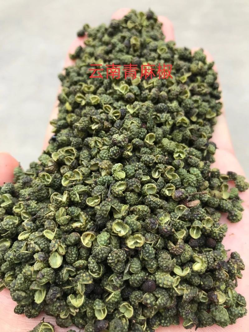 【实力】花椒昭通青麻椒过机二遍开口85%大量供应