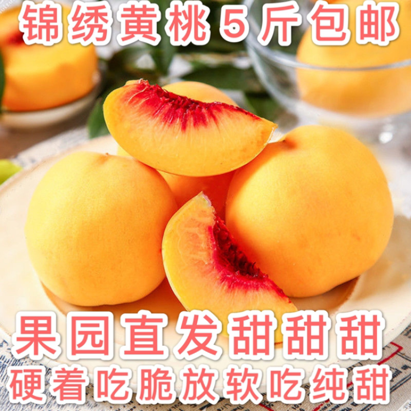 锦绣黄桃一件代发5斤全国包邮