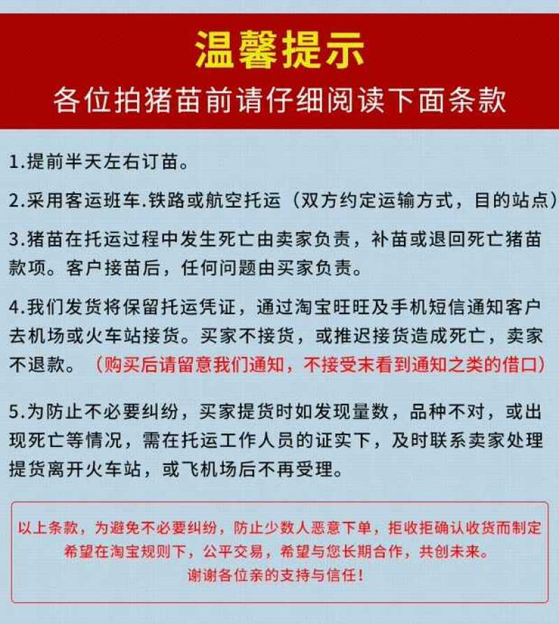 母猪太湖苏太杜洛克二三元长太长白活体猪