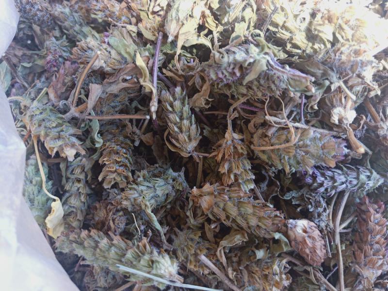 夏枯球陕西野生干货药用