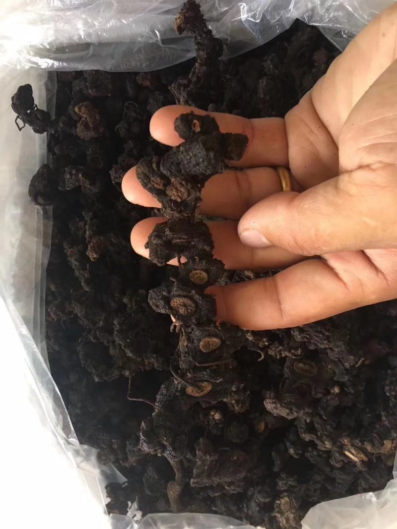 深山老林纯野生黄精，精品