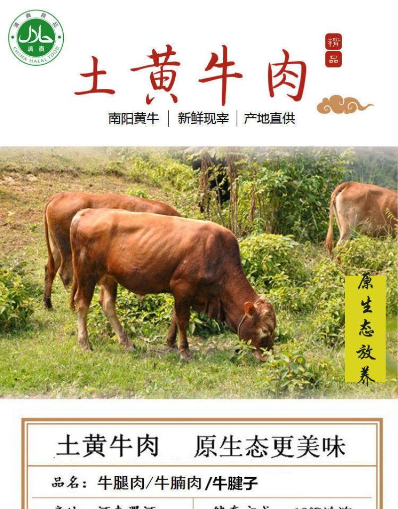 原切4斤牛腿肉牛腩速冻黄牛腱子肉筋头巴脑包邮