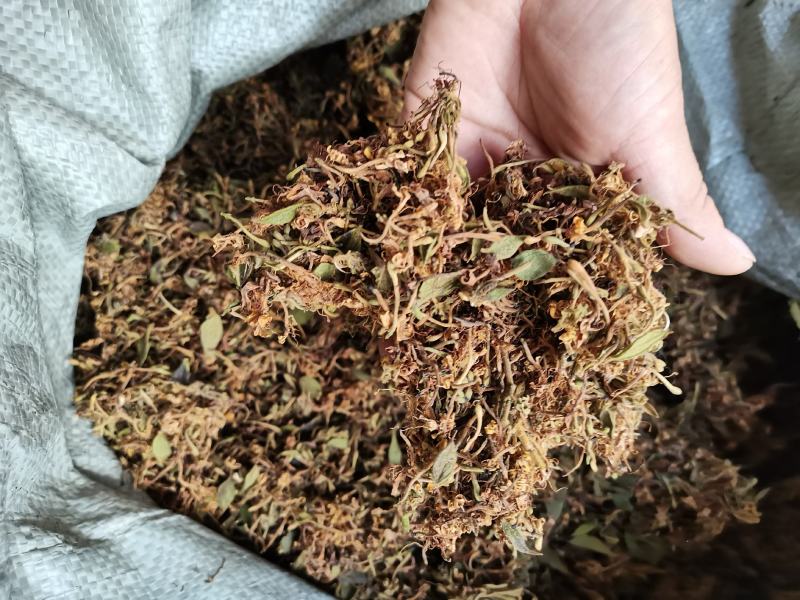 自然晒干无硫野生家种金银花