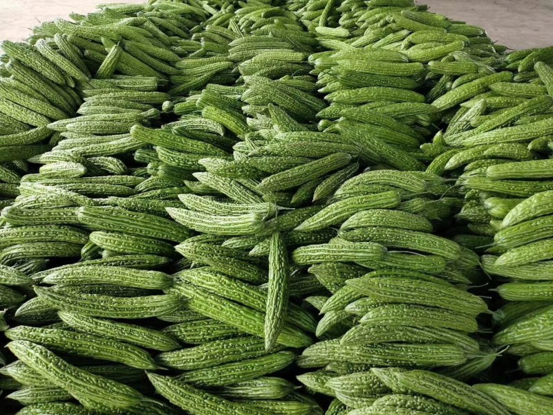 各种精品蔬菜保证质量