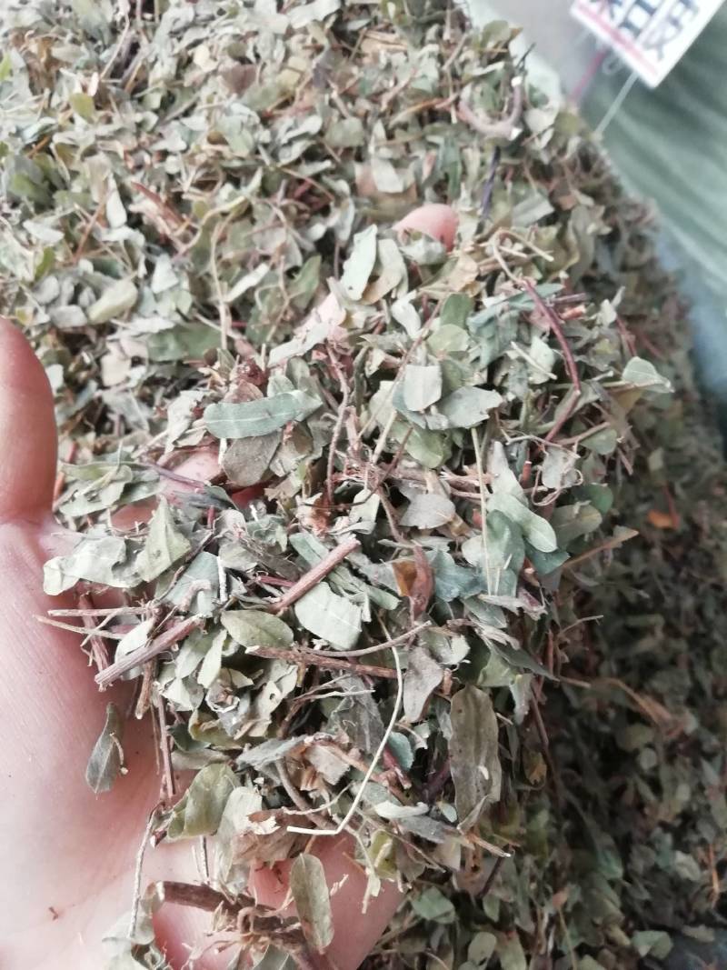 中药材鸡骨草正品鸡骨草叶子广西鸡骨草