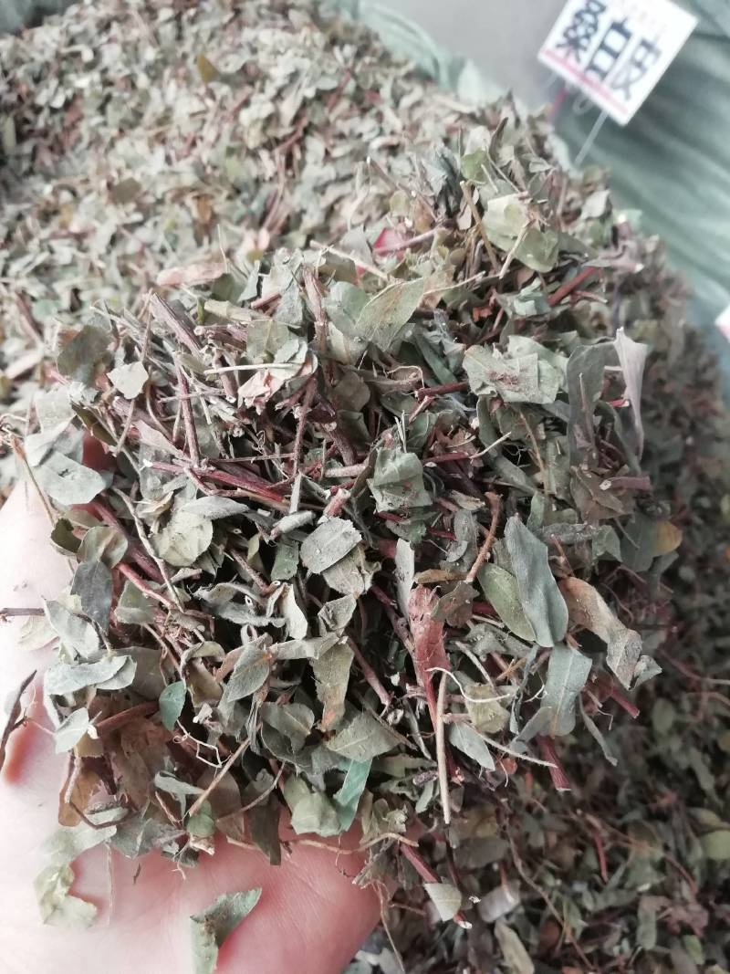 中药材鸡骨草正品鸡骨草叶子广西鸡骨草