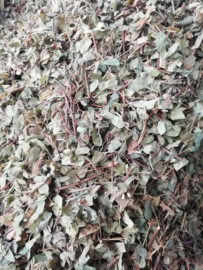 中药材鸡骨草正品鸡骨草叶子广西鸡骨草