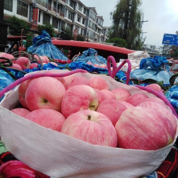 云南新鲜苹果新世纪和108欢迎全国各地朋友咨询