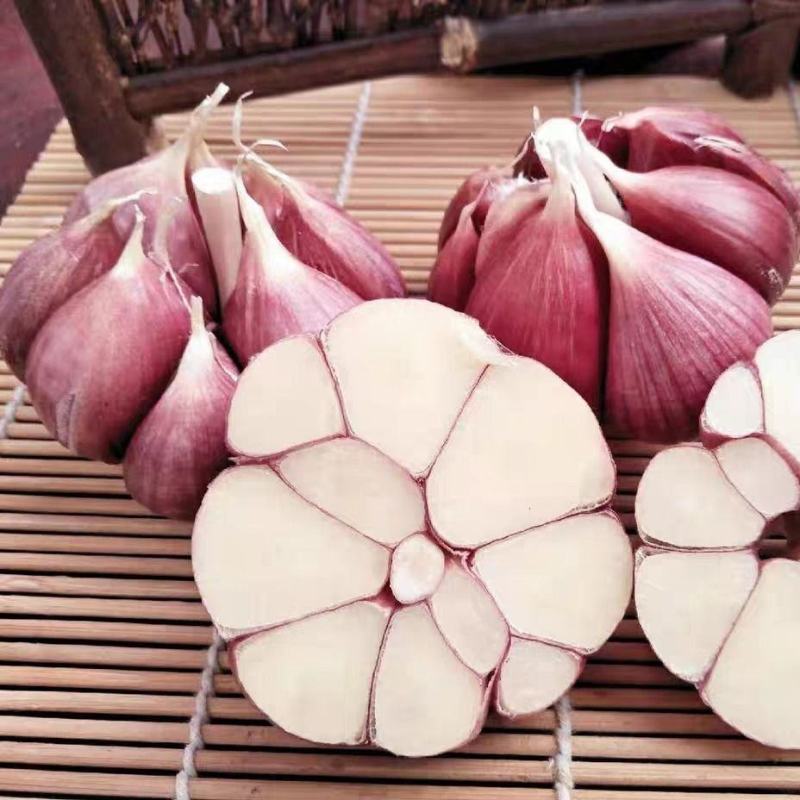 2020年云南紫皮蒜新鲜干蒜蒜味浓