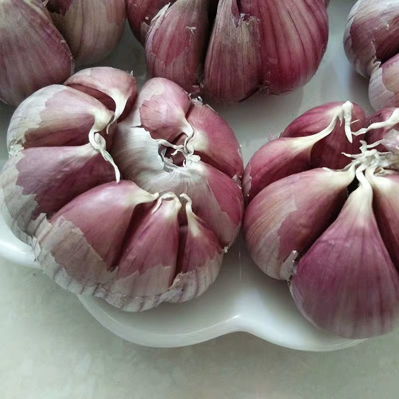2020年云南紫皮蒜新鲜干蒜蒜味浓