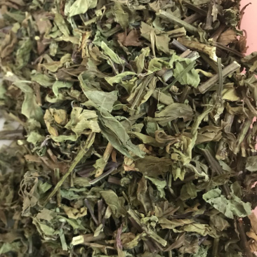 猫须草新货猫须公中药材肾茶产地直销猫须草化石支持一件发