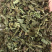 猫须草新货猫须公中药材肾茶产地直销猫须草化石支持一件发