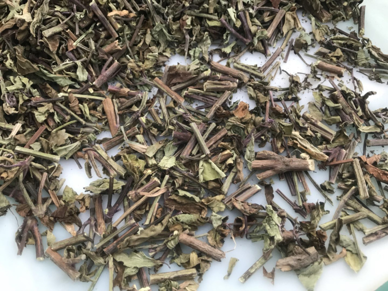 猫须草新货猫须公中药材肾茶产地直销猫须草化石支持一件发