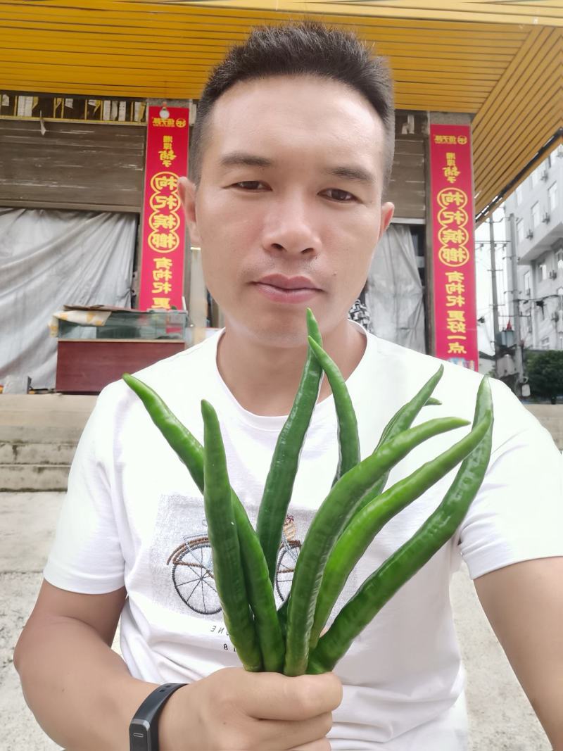 产品在贵州，贵州黔南，气候好，雨水好，做出品质更好
