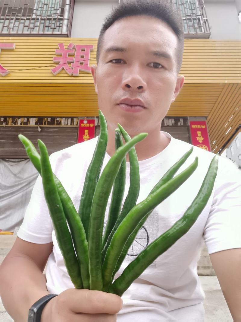 产品在贵州，贵州黔南，气候好，雨水好，做出品质更好
