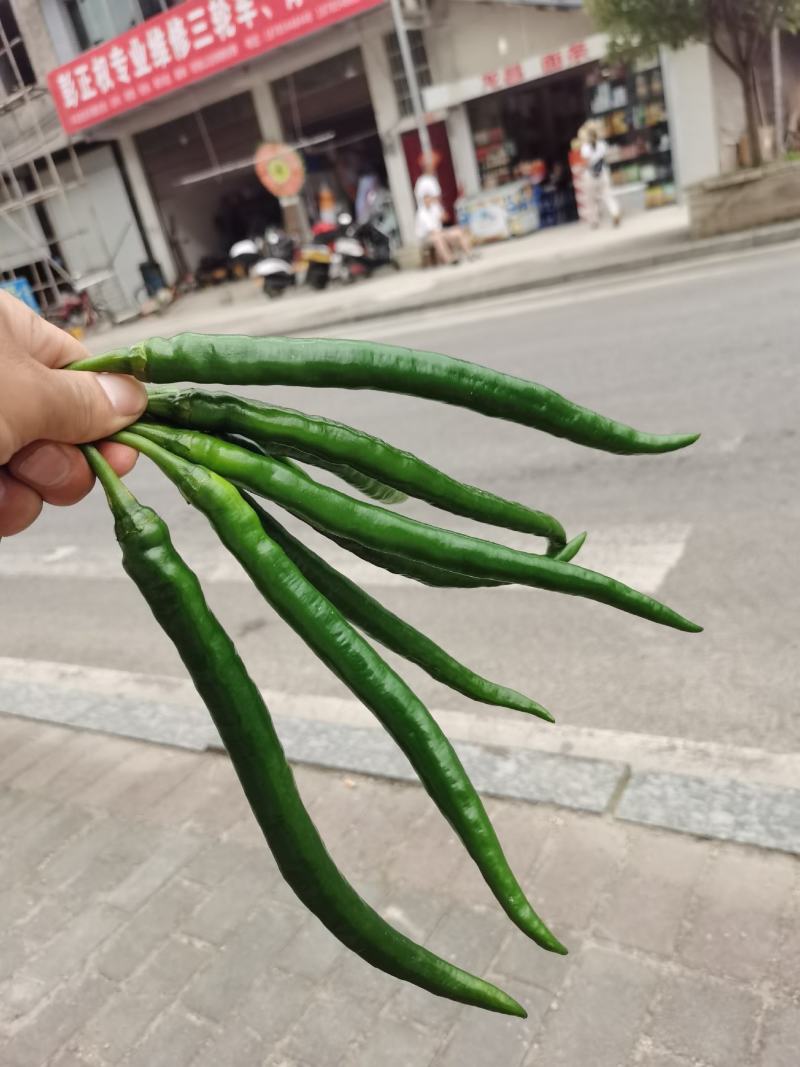 产品在贵州，贵州黔南，气候好，雨水好，做出品质更好