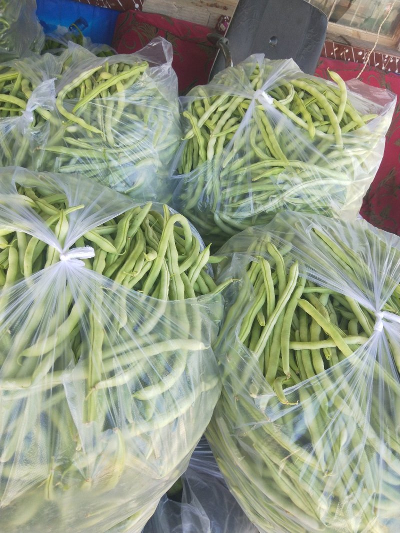 白无丝
