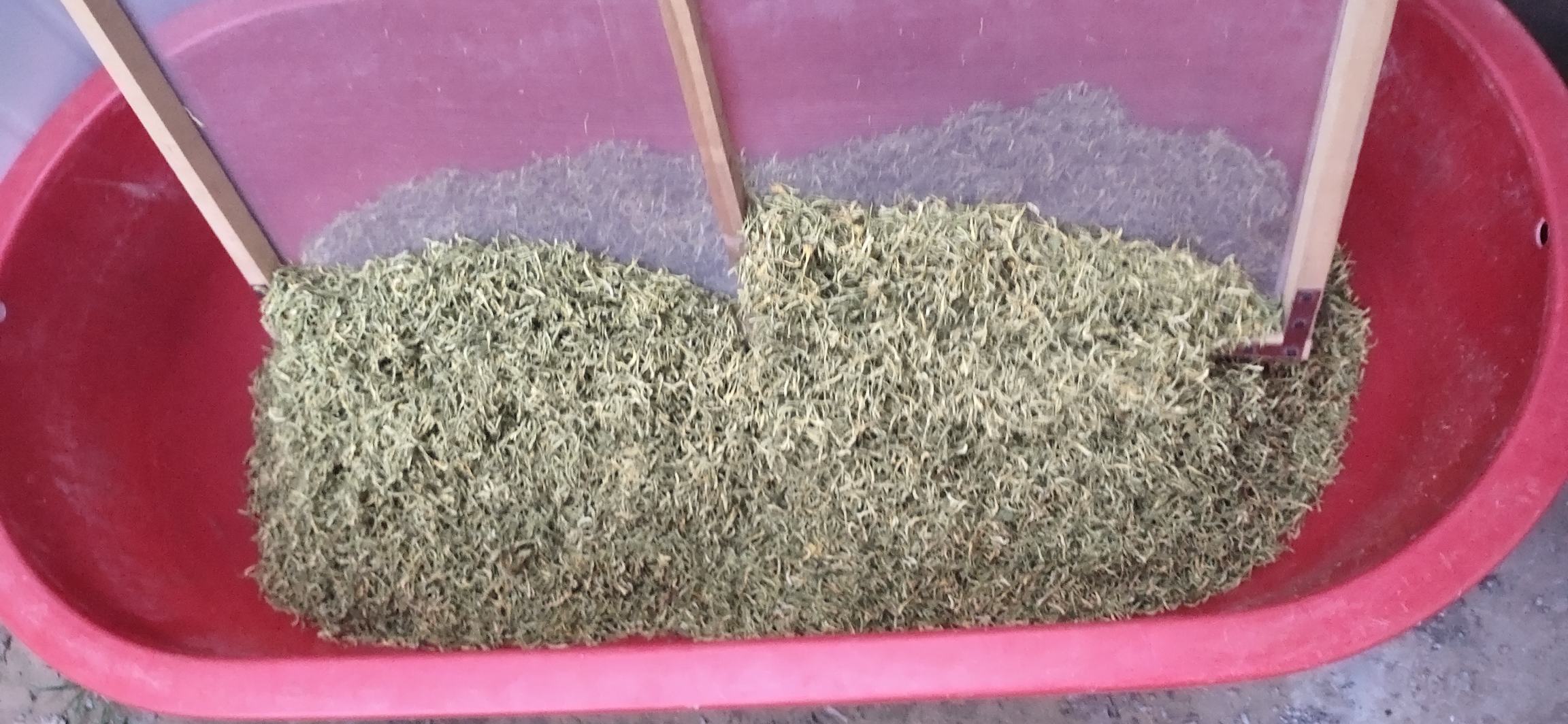 展示金丝皇菊干花与陈皮干片,背景为木质托盘,体现自然农产品的质朴美感 金丝皇菊与陈皮干品展示图