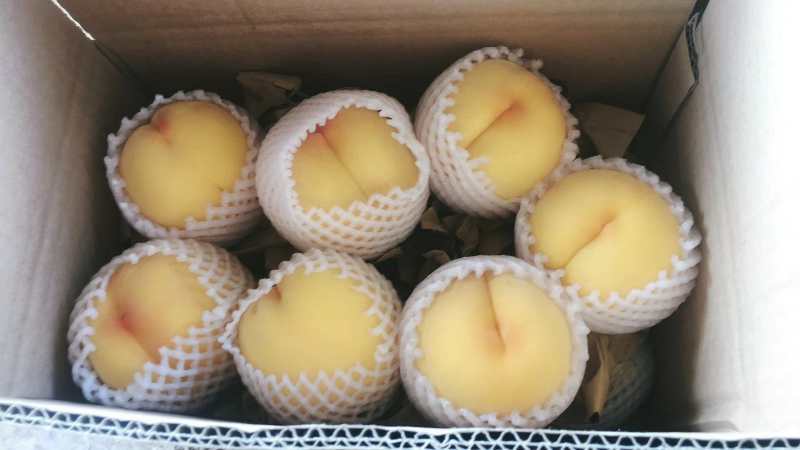 锦绣黄桃口感脆甜基地直供一手货源量大从优