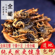 蝎子全蝎中药饮片各种规格