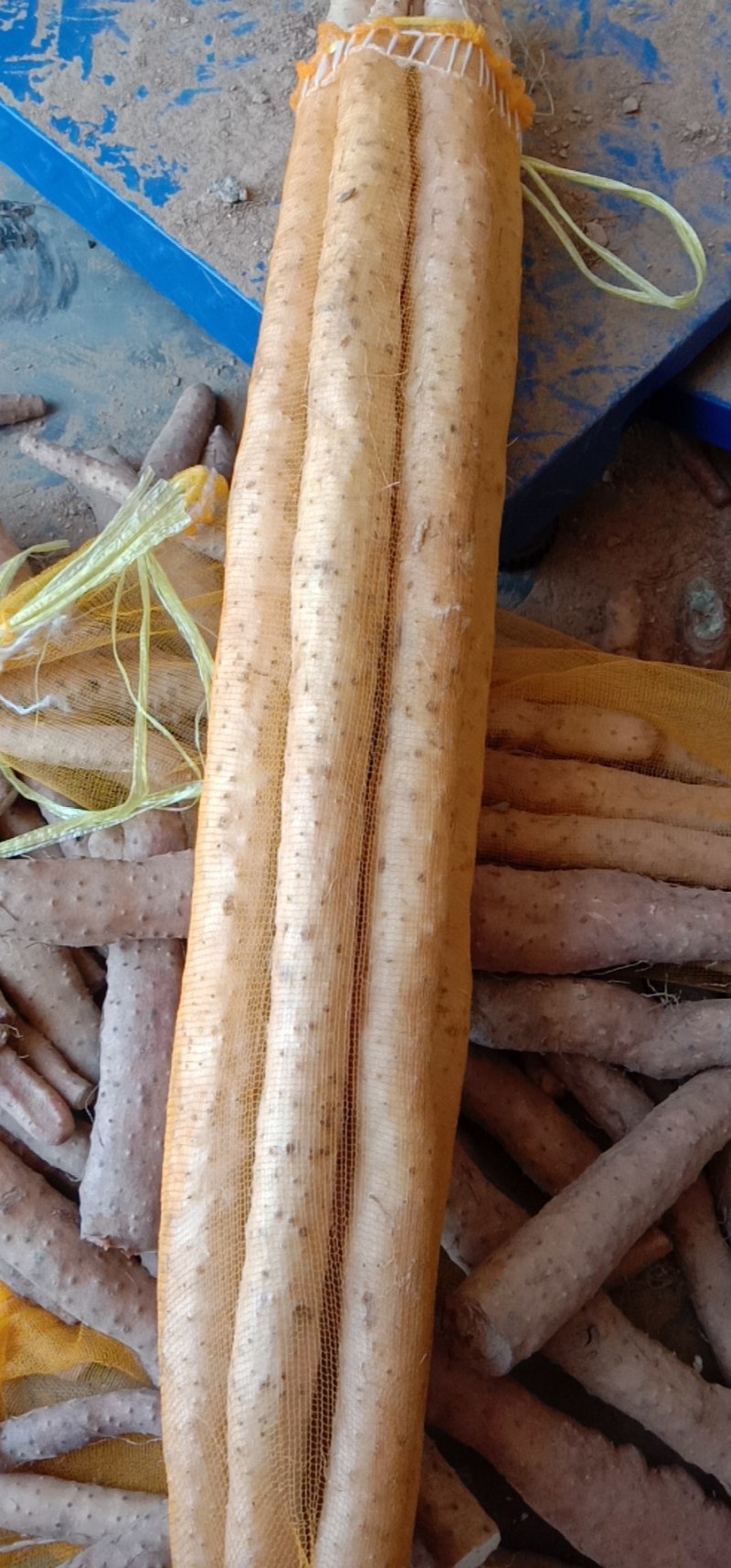 小白嘴白山药我们只做精品山药，