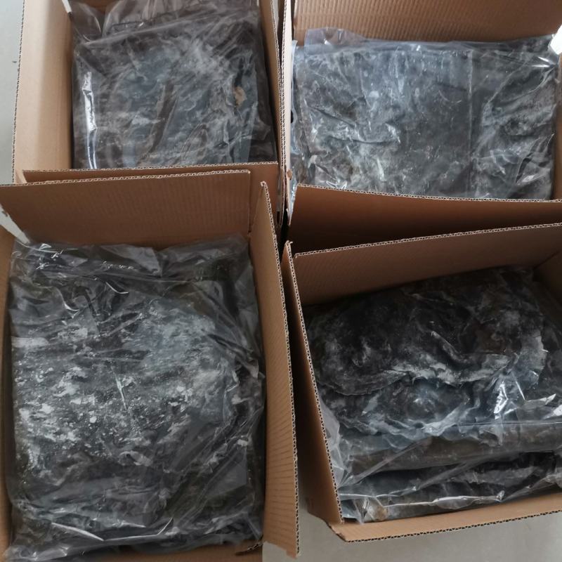 特级出口品质干海带500g去边去尾厚海带产地直供包邮