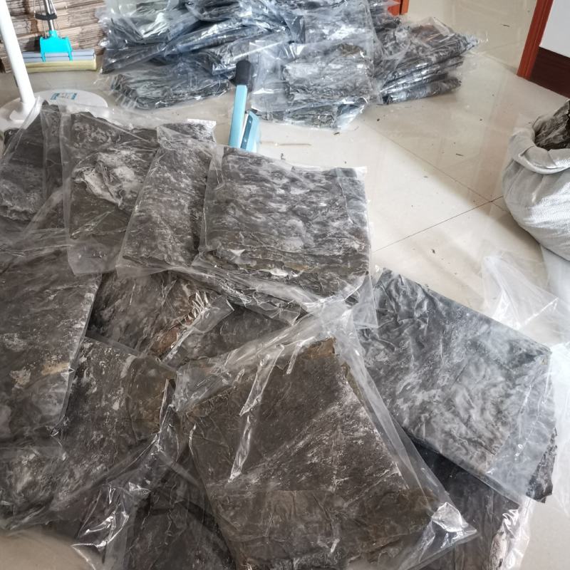 特级出口品质干海带500g去边去尾厚海带产地直供包邮