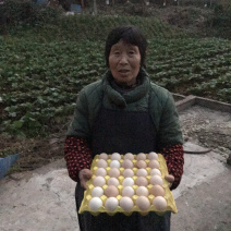 黄心鸡蛋红心鸡蛋新鲜鸡蛋初生蛋儿童蛋