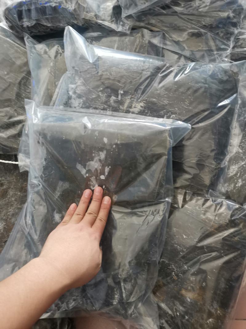 长岛一级品干海带精装500g起全国包邮长岛特产