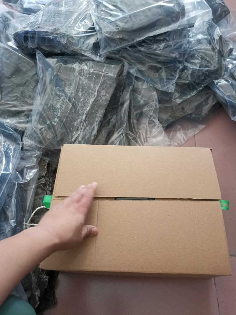 长岛一级品干海带精装500g起全国包邮长岛特产