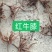 红牛膝，根红、叶红茎也红