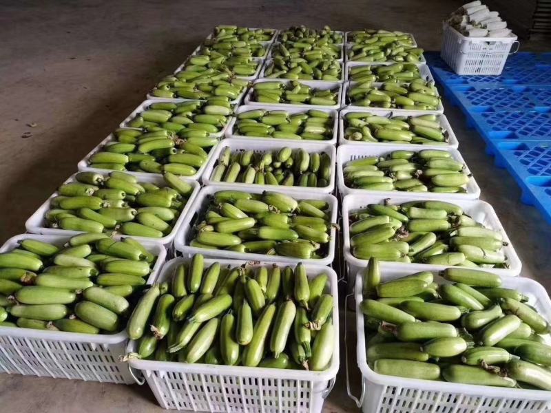 可重叠可带铁饼箩筐蔬菜水果箩筐厂家直销