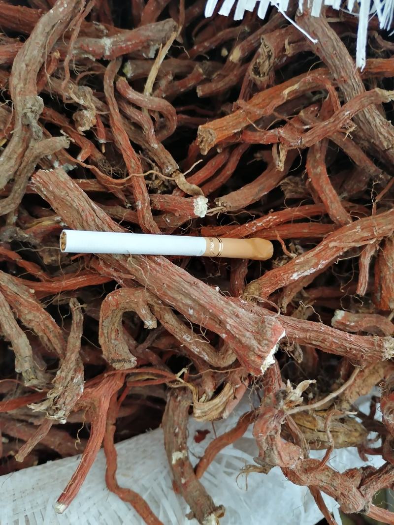 丹参段常年大量供应山东道地各种中药材