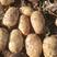 内蒙V7黄皮黄心土豆，产地直发，优质货源，诚信经营