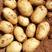 内蒙226黄皮白心土豆，产地直发，优质货源，诚信经营