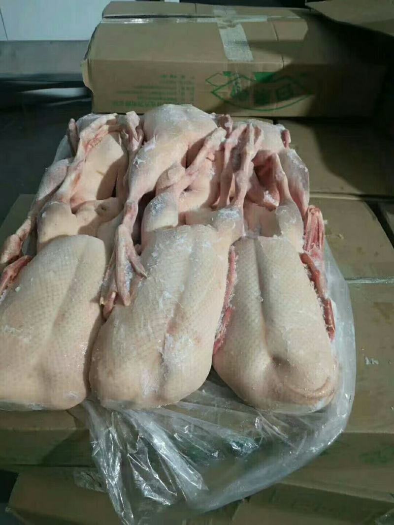 樱桃谷瘦肉型小全鸭，带头，带翅，带掌，不带切舌。