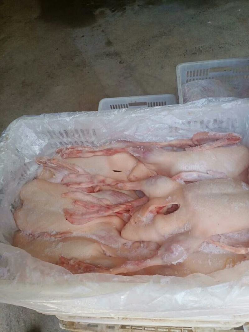 樱桃谷瘦肉型小全鸭，带头，带翅，带掌，不带切舌。