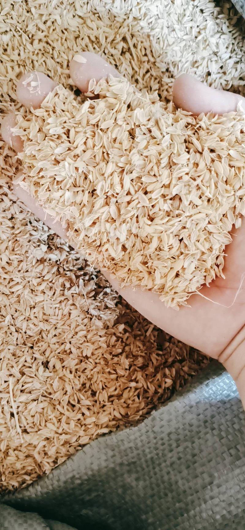 【优质好货】稻壳，厂家直发，量大优惠，货真价实！