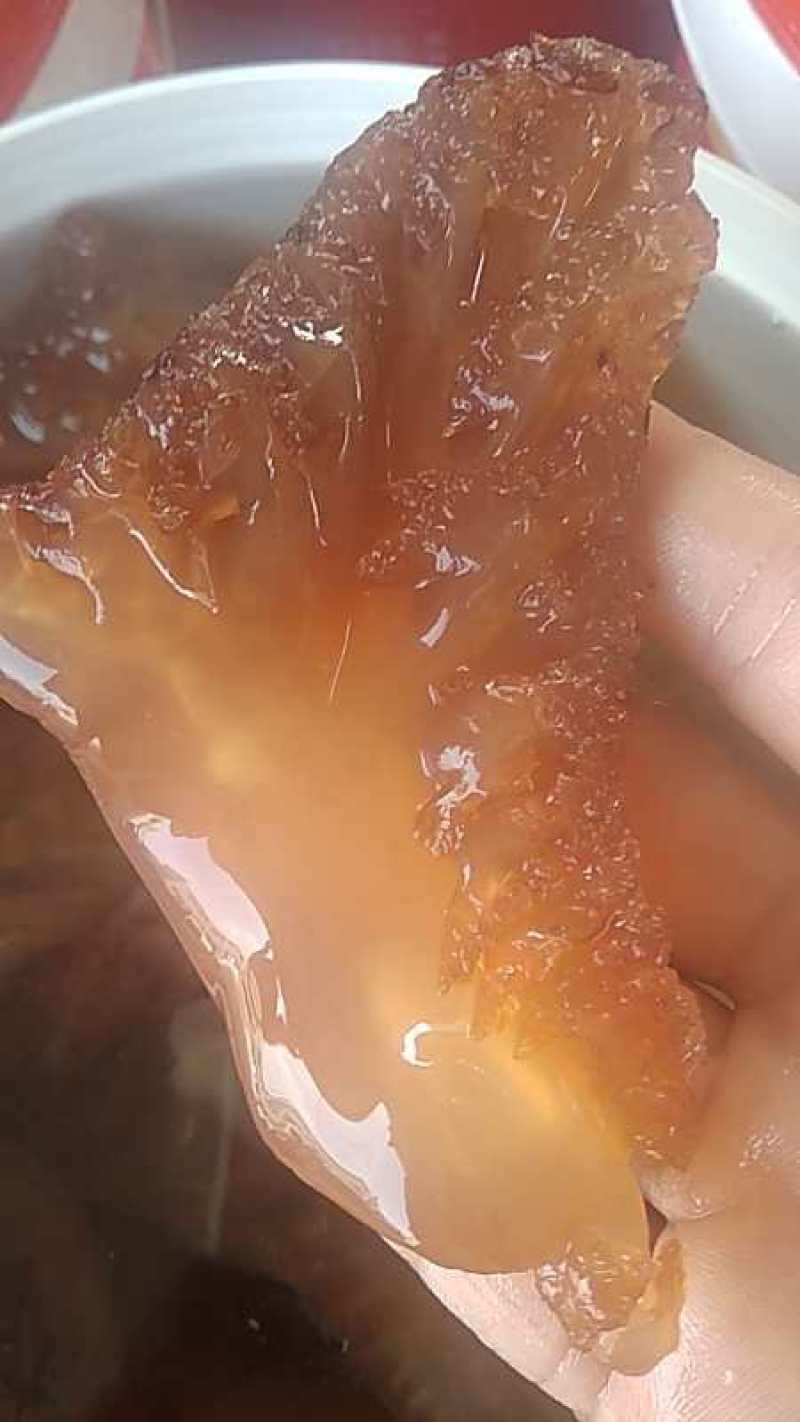 海蜇头，正宗香脆可口，