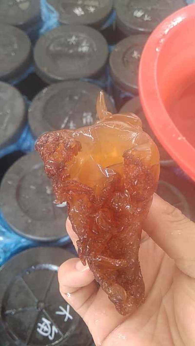 海蜇头，正宗香脆可口，