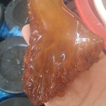 海蜇头，正宗香脆可口，