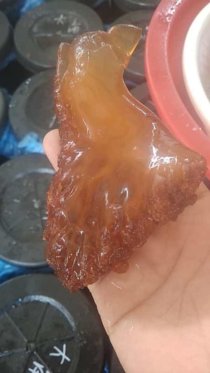 海蜇头，正宗香脆可口，
