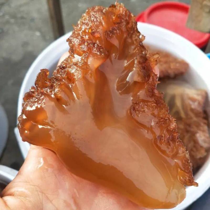 海蜇头，正宗香脆可口，