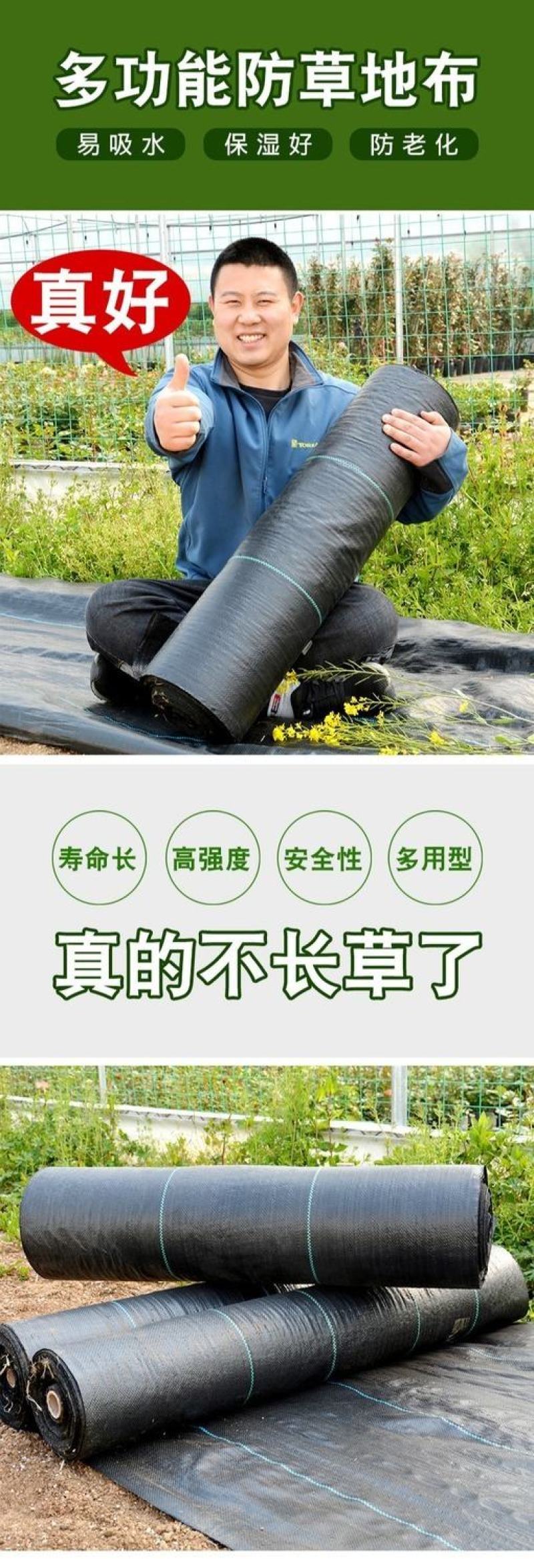 防草布园艺农用地布除草布盖草抑草地膜透气保湿可降解包邮