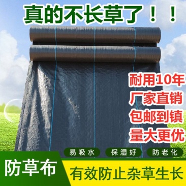 防草布园艺农用地布除草布盖草抑草地膜透气保湿可降解包邮