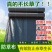 防草布园艺农用地布除草布盖草抑草地膜透气保湿可降解包邮